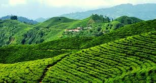 Illam